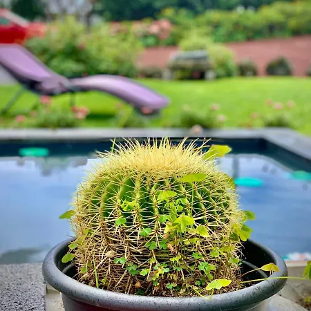 Casa Do Milhafre - Villaverde Azores * Feteiras