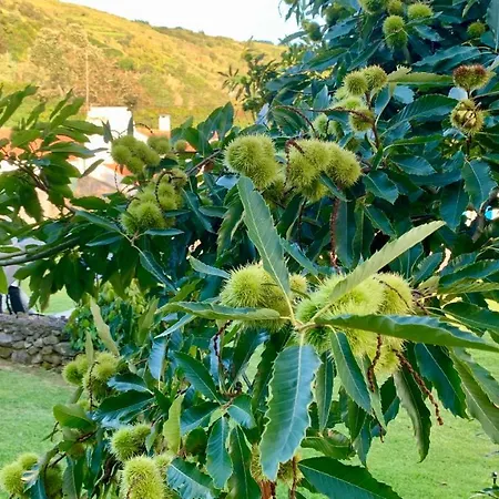 펜션 Casa Do Milhafre - Villaverde Azores *