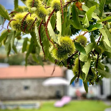 Casa Do Milhafre - Villaverde Azores *