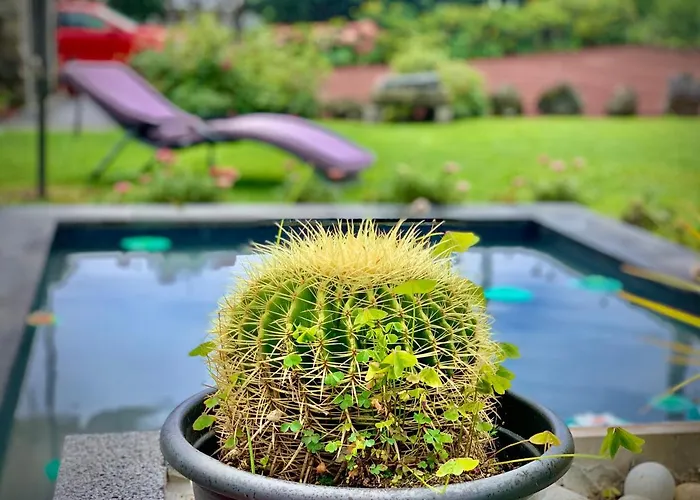 Casa Do Milhafre - Villaverde Azores * Feteiras