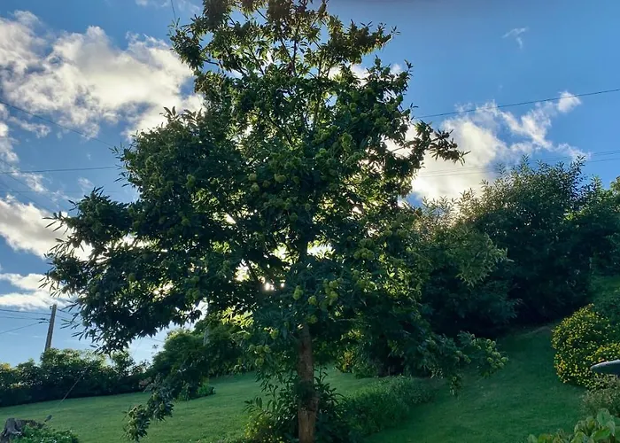 בית נופש Casa Do Milhafre - Villaverde Azores *